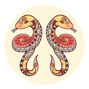 İkizler Burcu Prfümleri